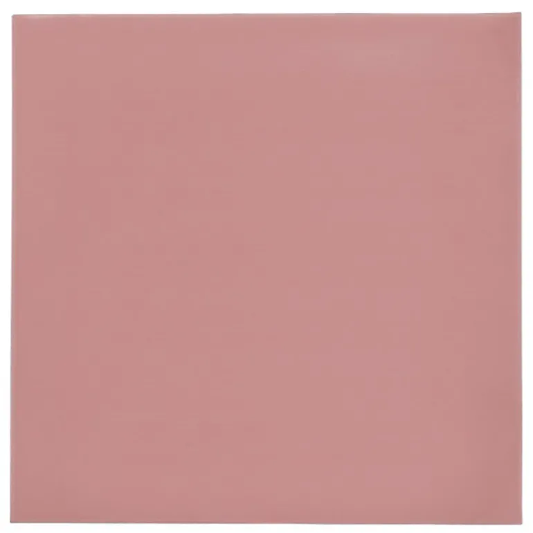 Almohadilla Térmica Thermal Grizzly Minus Pad 8 100 x 100 x 0,5 mm 2u