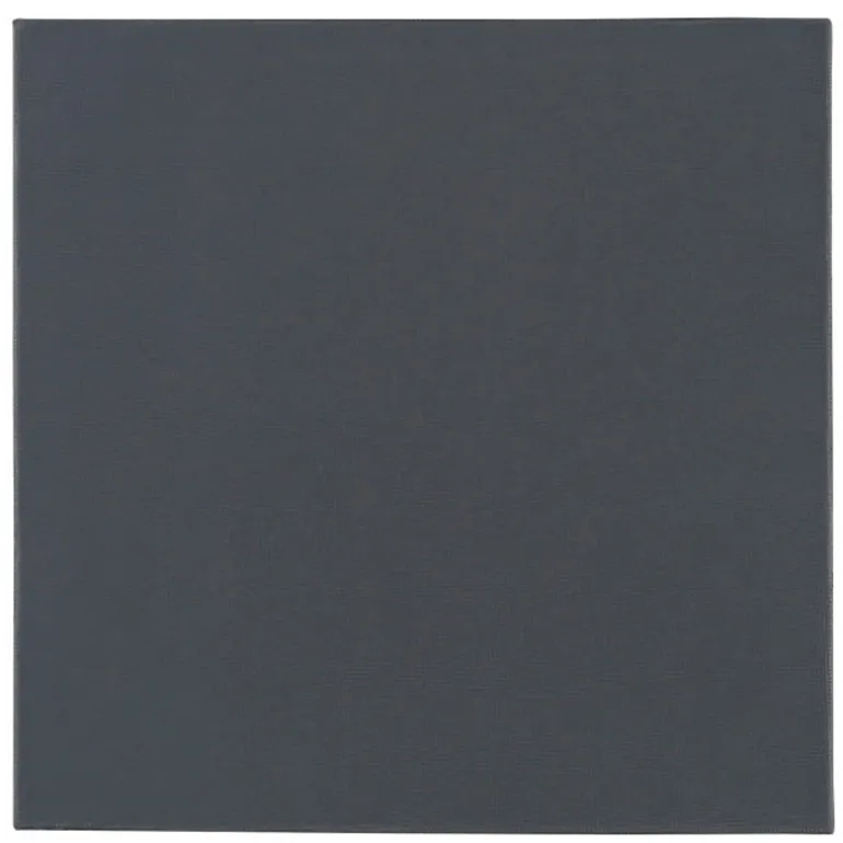 Almohadilla Térmica Thermal Grizzly Minus Pad Pro 100 x 100 x 2,0 mm