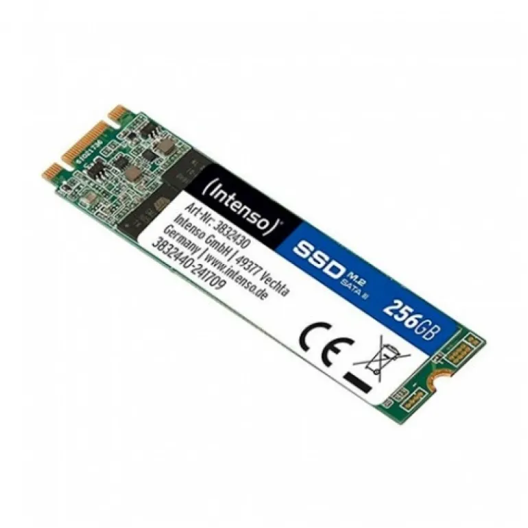 Disco Duro M.2 Intenso Top Performance 256GB