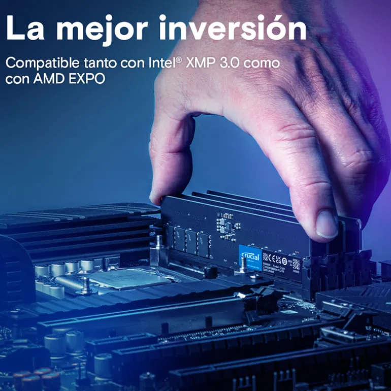 Memoria DDR5 Crucial 8GB 1x8GB 5600MHz CL46 EXPO-XMP