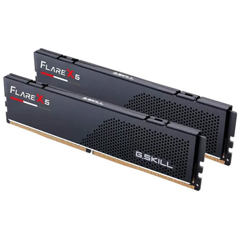 Memoria DDR5 G.Skill Flare X5 48GB 2x24GB 6000MHz CL40 Negro EXPO