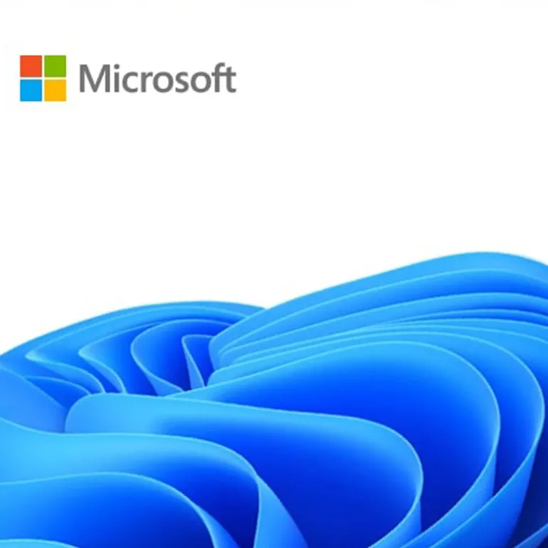Software Microsoft Windows 11 IoT Enterprise LTSC 2024