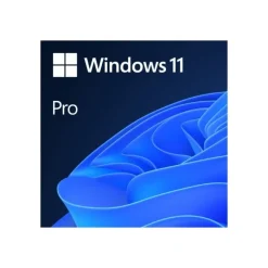Software Microsoft Windows 11 Pro 64 Bits Ingles DSP DVD OEM
