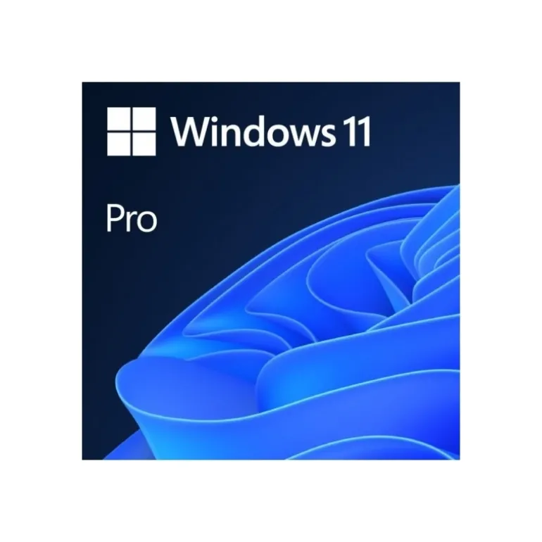 Software Microsoft Windows 11 Pro 64 Bits Ingles DSP DVD OEM
